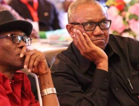 Labour Party Chairman Alleges APC's Plan For Presidential Election Re-Run
