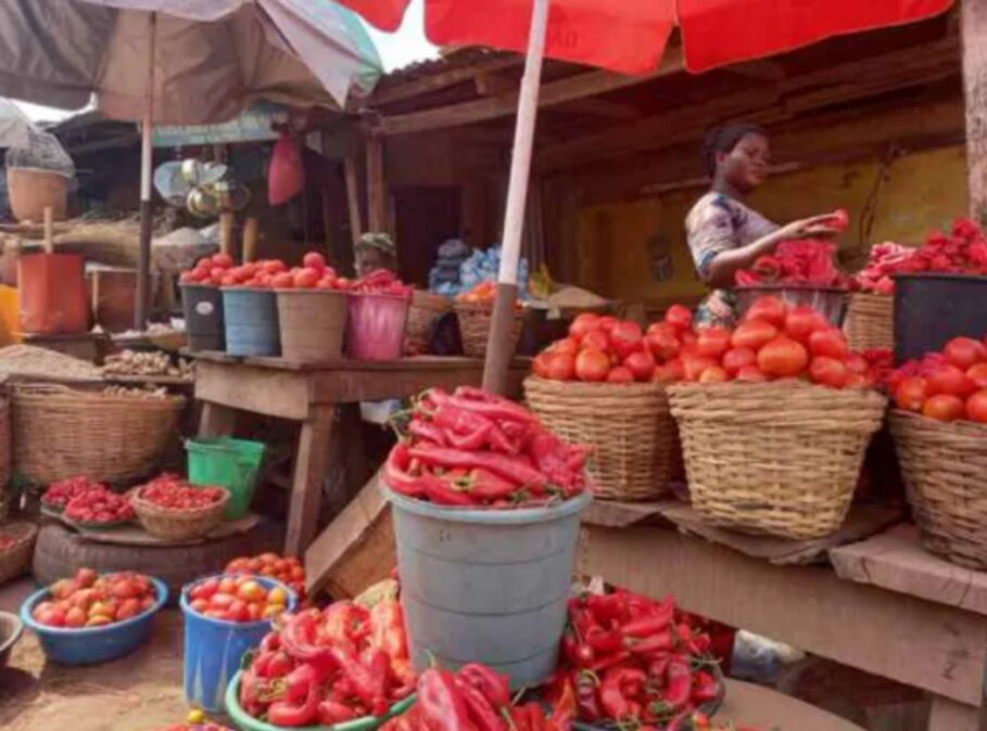 FG To Stop Taxing Tomatoes, Other Non-taxable Goods, Services