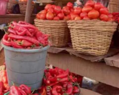 FG To Stop Taxing Tomatoes, Other Non-taxable Goods, Services