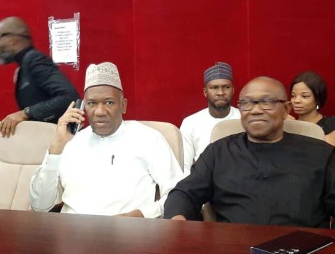 Obi-Datti Blasts EIU For Predicting Tinubu’s Victory At Tribunal