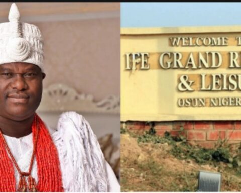 Crocodiles Electrocuted In Ooni's Resort Fire