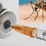 Malaria Vaccine