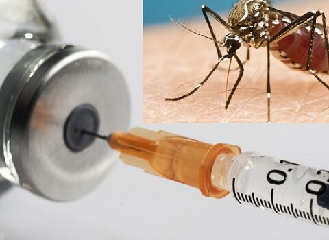 Malaria Vaccine