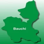 24-year-old Housewife Murders Co-Wife’s Newborn Baby In Bauchi