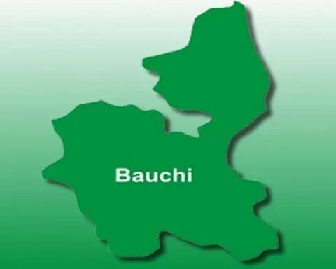 24-year-old Housewife Murders Co-Wife’s Newborn Baby In Bauchi