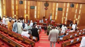 LG Autonomy: Bill Senate Seeks To Create Local Govt Electoral Commission  