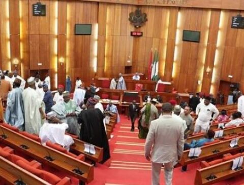 LG Autonomy: Bill Senate Seeks To Create Local Govt Electoral Commission  