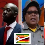 Zimbabwe 2023 Polls: What You Need To Know Before August 23