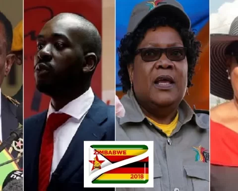 Zimbabwe 2023 Polls: What You Need To Know Before August 23
