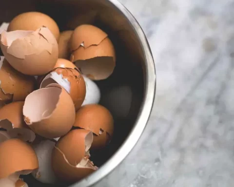 5 Hidden Benefits Of Eggshells
