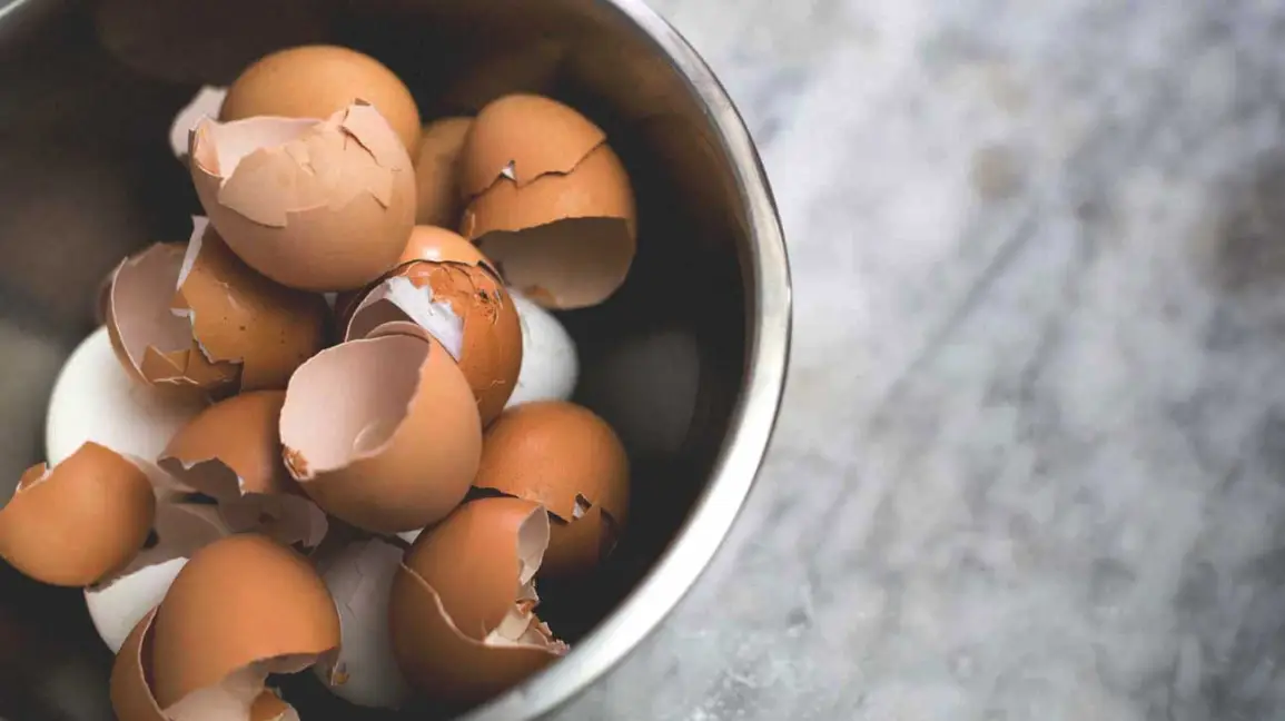 5 Hidden Benefits Of Eggshells