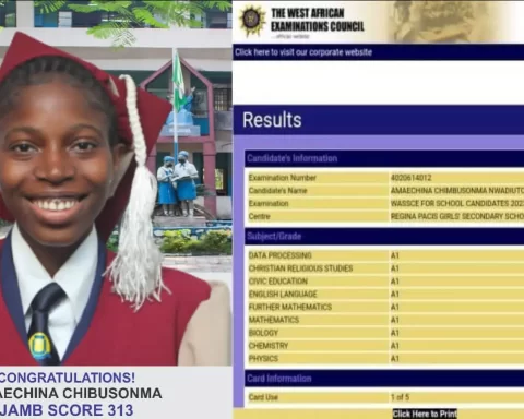 16-Year Old Amaechina, Scores Nine A1s In 2023 WASSCE