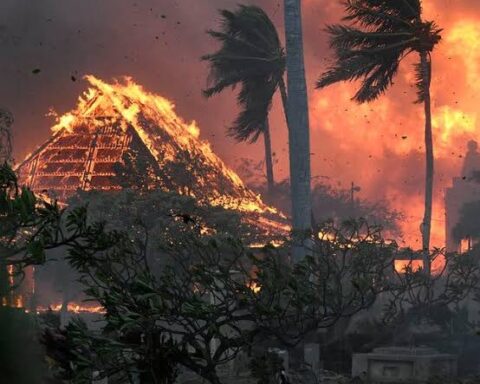 36 Killed in Hawaii Wildfire, Thousands Flee