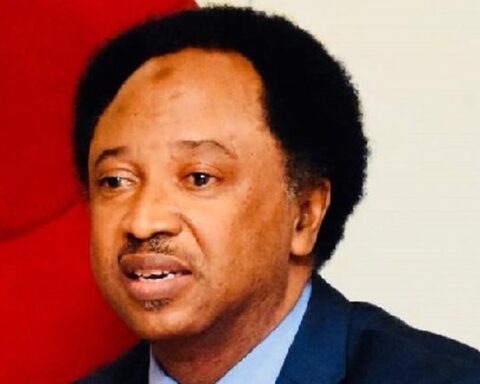 Shehu Sani Urges Tinubu To Release #EndSARS Protesters In Commemoration Of June 12