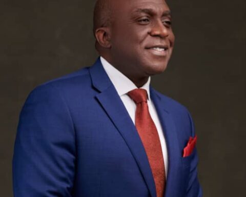 Tackle Unemployment With Apprenticeship- Okonkwo Urges Tinubu