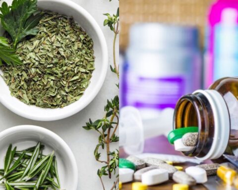 Rising Cost of Drugs: Are Herbs Viable Options?