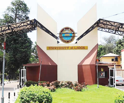 Naira Devaluation Has Caused ‘Japa’ Tsunami Among Lecturers - UNILAG VC