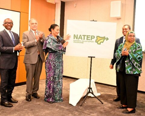 FG Launches Talent Export Program For Youth Employment