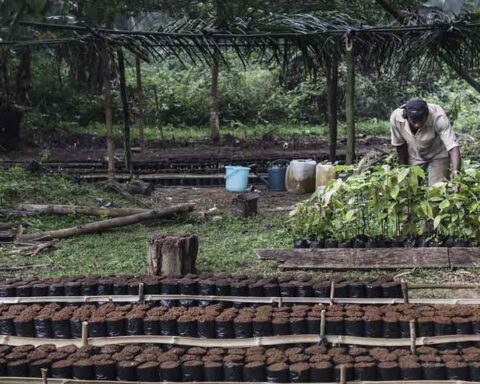 ADF Approves $20 Million Grant To Boost Mozambique's Economy