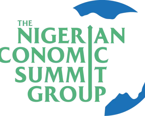 NESG Advocates Private Sector-led Financing For Sustainability