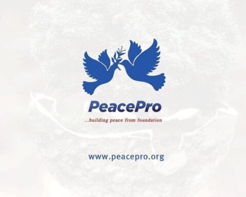 PeacePro Urges National Unity Through Peacebuilding
