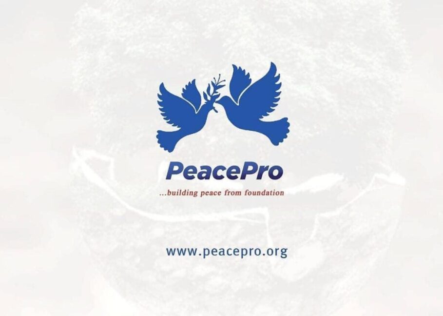PeacePro Urges National Unity Through Peacebuilding