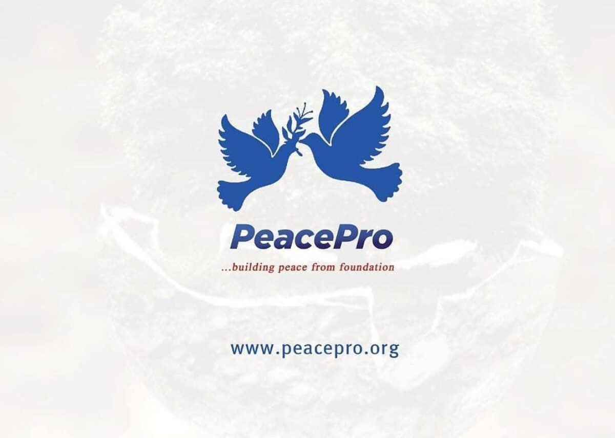 PeacePro Urges National Unity Through Peacebuilding