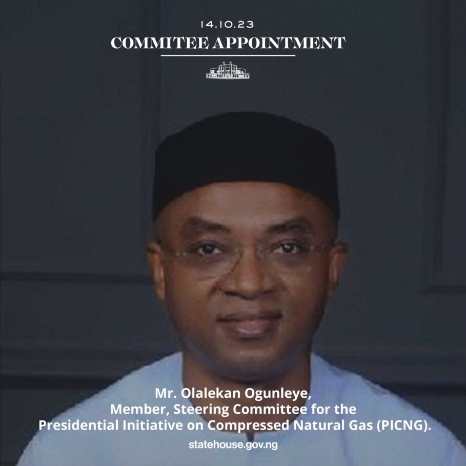 FIRS boss, Zacch Adedeji, Heads Tinubu's Committee For Presidential Initiative On CNG