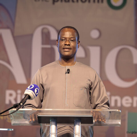 How Nigerian Govt Can Generate N10trn From Non-oil Assets Annually – Tax Panel Chair