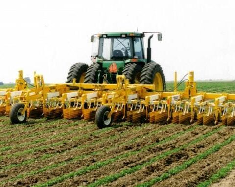 We Need Collective Effort To Tackle Food Insecurity, Rural Underdevelopment - Don