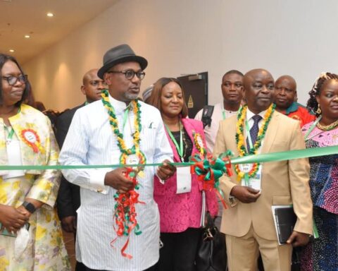Nigerian Oil Industry On Steady Growth Trend Despite IOCs Investment Decline   - Wabote
