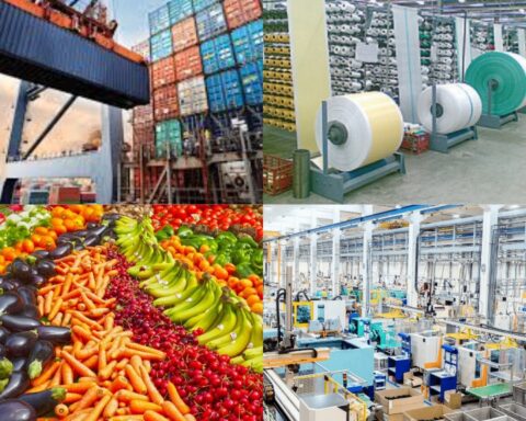 Experts Call For Local Production To Strengthen The Naira