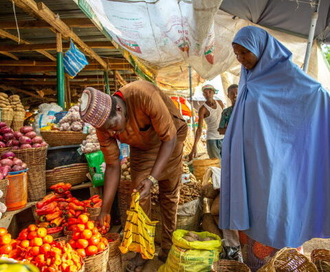 Lagos Markets Hit by Surge in Food Prices, Straining Household Budgets