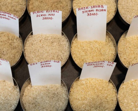gettyimages talukdar riceexpo npeir