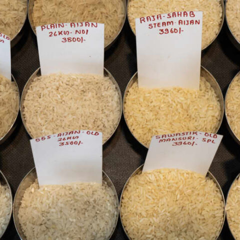 gettyimages talukdar riceexpo npeir