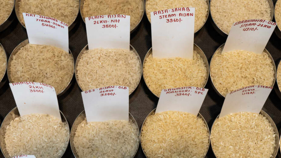 gettyimages talukdar riceexpo npeir