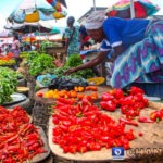 26.5 Million Nigerians At Risk of Hunger In 2024, FAO Warns Amid Food Crisis