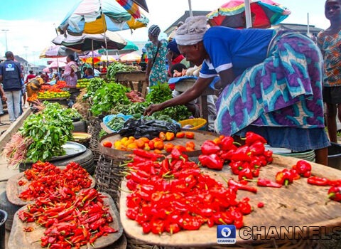 26.5 Million Nigerians At Risk of Hunger In 2024, FAO Warns Amid Food Crisis