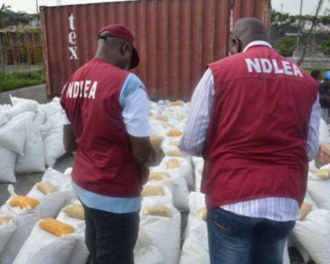 NDLEA Destroys Over 300,000 Kilograms Of Drugs In Lagos, Ogun State