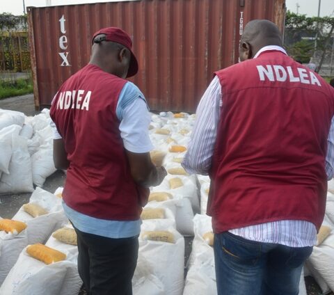 NDLEA Destroys Over 300,000 Kilograms Of Drugs In Lagos, Ogun State