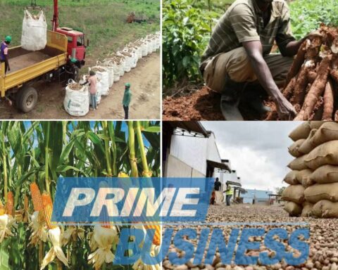 Africa Needs More Value For Agric Exports
