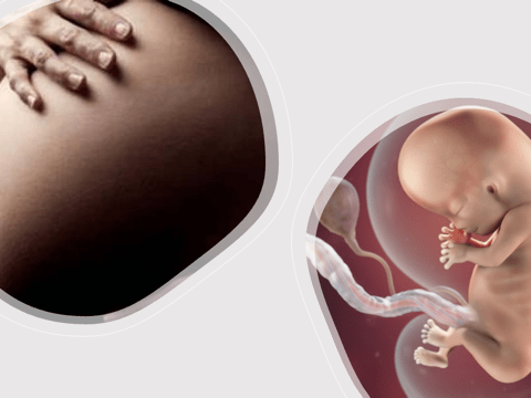 Solution To Fertility Issues In Older Women Is At Hand