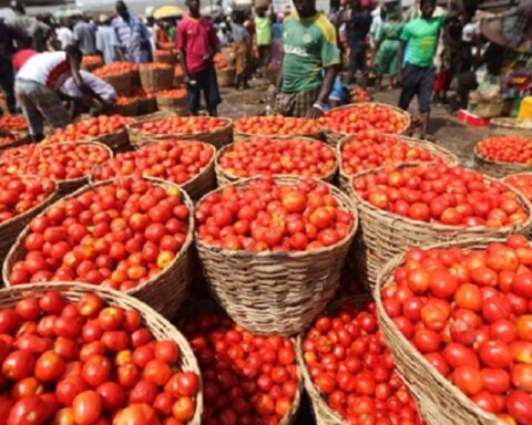 Tomato Supply Threat Sparks Fear Of Price Hike In Lagos Over Market Clash