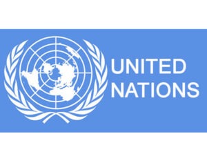 Nigeria, Ghana, Others Lead UN Bid Against OECD In Tax Matters