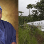 How Nigeria's Power Minister Narrowly Escaped Death On Plane Crash