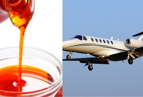 Singapore, Indonesia Advocate Palm Oil As Aviation Fuel Pioneered By Biafran Scientists 56 Years Ago