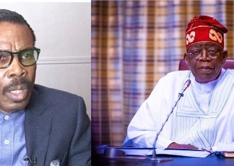 Your Experience As Lagos Governor Not Enough To Run Federal Govt - Rewane Tells Tinubu