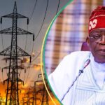 Tinubu Halts Tariff Hike, Probes Power Sector Licenses
