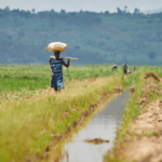 Congo: African Development Bank’s Country Strategy Paper sets developing sustainable infrastructure and improving economic governance as key priorities