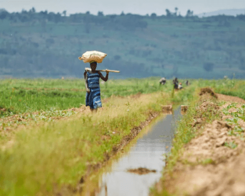 Congo: African Development Bank’s Country Strategy Paper sets developing sustainable infrastructure and improving economic governance as key priorities